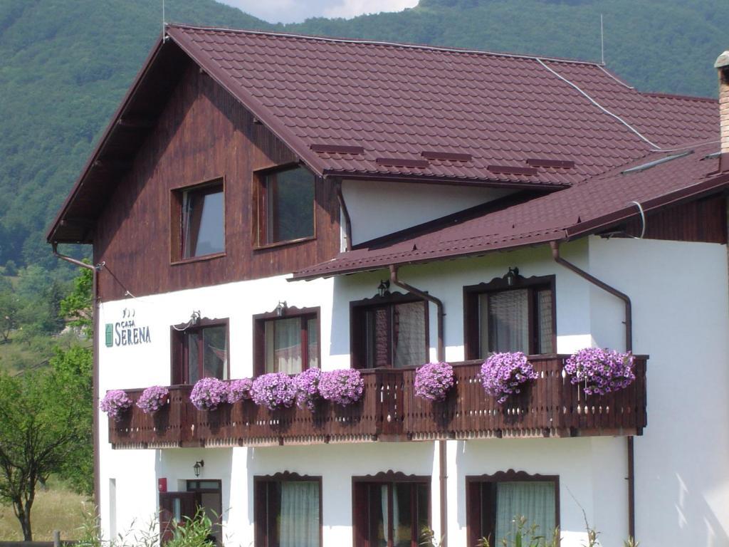 Serena Guesthouse Bran Bran  Exteriér fotografie